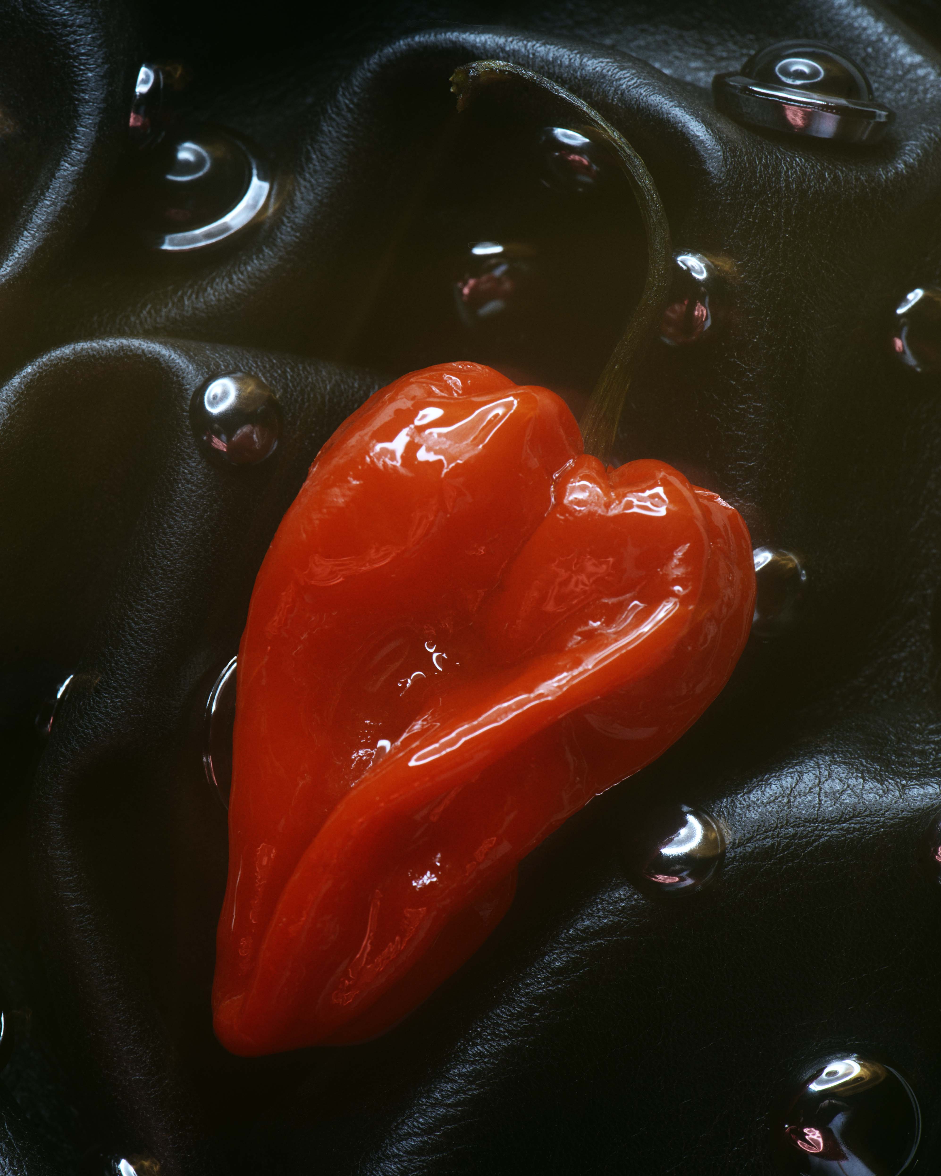 Ferragamo - Set Design by ANNA SBIERA